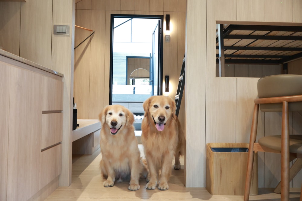 南投魚池｜3JD Home二館。日月潭絕美民宿森林villa、露營車、寵物友善民宿、一泊三食、露天風呂