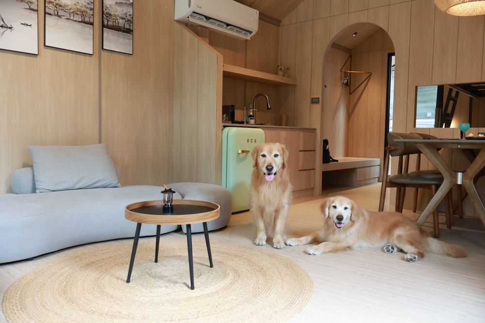 南投魚池｜3JD Home二館。日月潭絕美民宿森林villa、露營車、寵物友善民宿、一泊三食、露天風呂