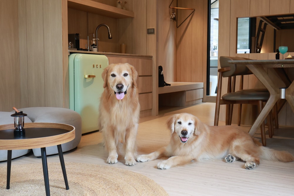 南投魚池｜3JD Home二館。日月潭絕美民宿森林villa、露營車、寵物友善民宿、一泊三食、露天風呂