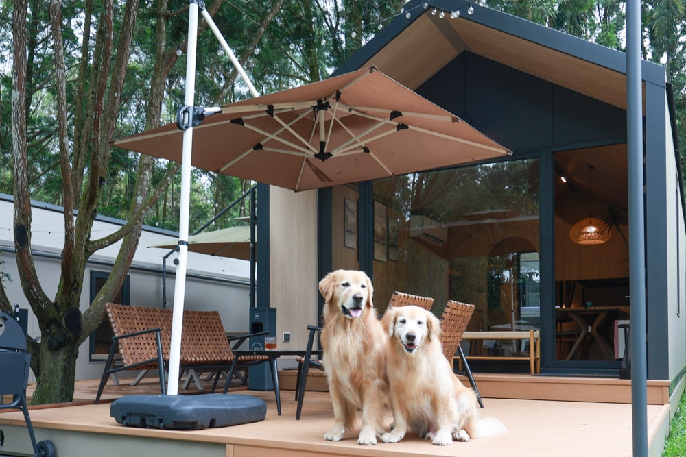 南投魚池｜3JD Home二館。日月潭絕美民宿森林villa、露營車、寵物友善民宿、一泊三食、露天風呂