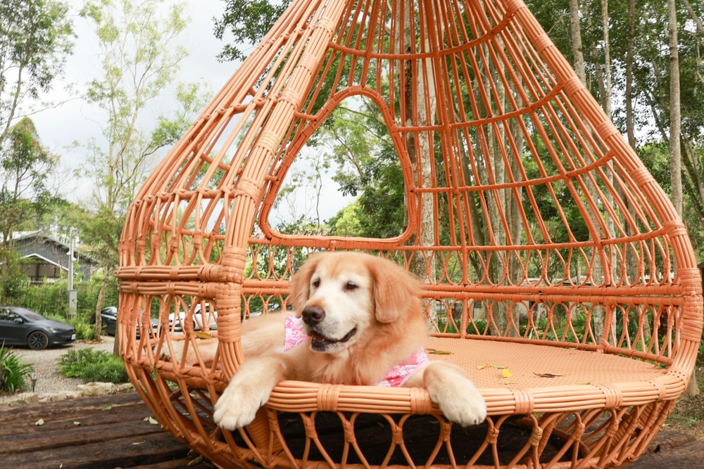 南投魚池｜3JD Home二館。日月潭絕美民宿森林villa、露營車、寵物友善民宿、一泊三食、露天風呂