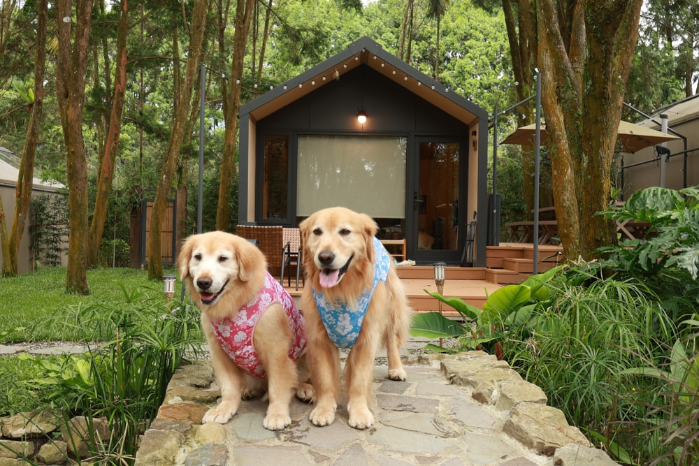 南投魚池｜3JD Home二館。日月潭絕美民宿森林villa、露營車、寵物友善民宿、一泊三食、露天風呂