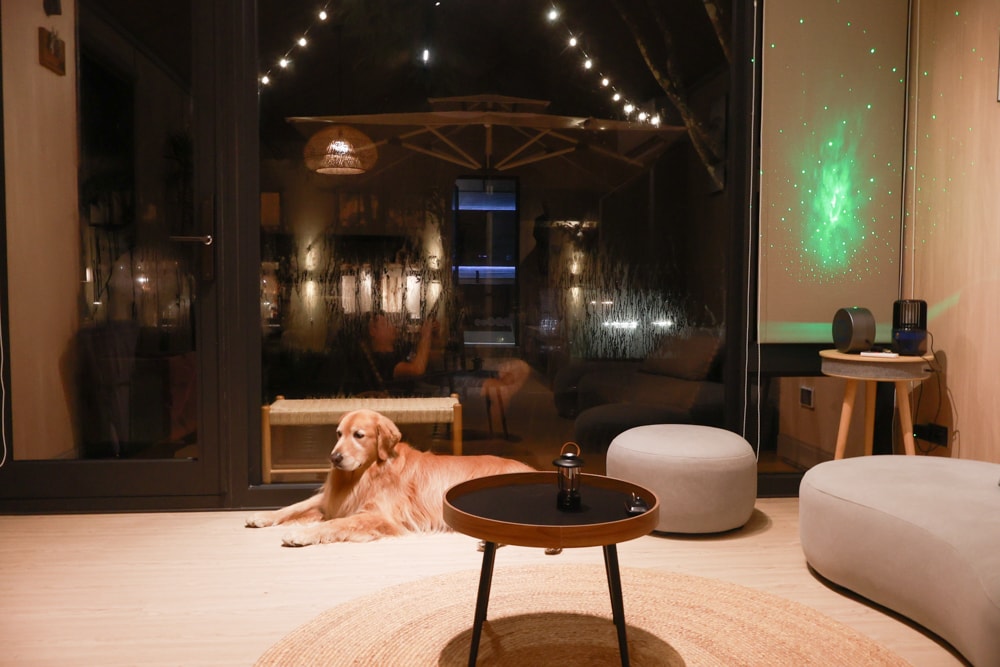 南投魚池｜3JD Home二館。日月潭絕美民宿森林villa、露營車、寵物友善民宿、一泊三食、露天風呂