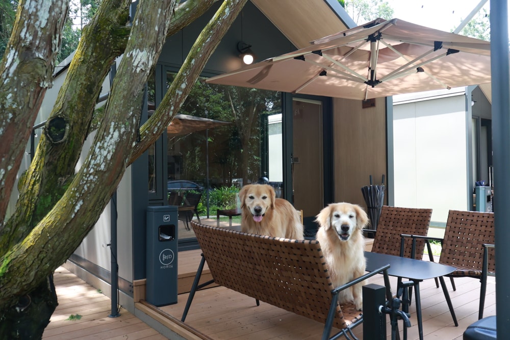 南投魚池｜3JD Home二館。日月潭絕美民宿森林villa、露營車、寵物友善民宿、一泊三食、露天風呂