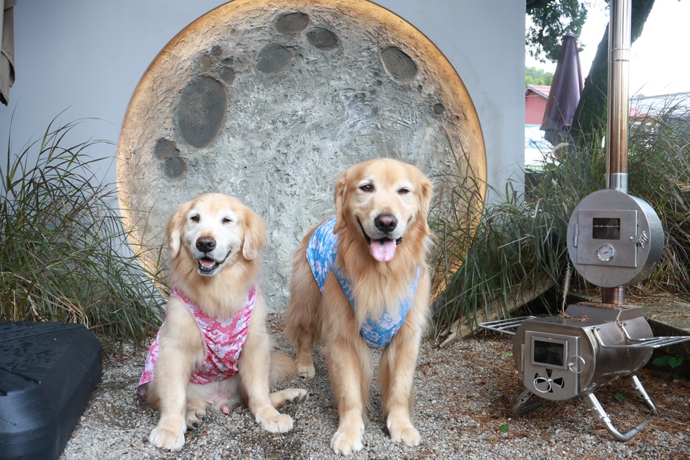 南投埔里｜桑心實驗室 emoLab。桑心合作社、山上山下集團、野奢露營風咖啡廳、寵物友善餐廳、南投桃米生態村