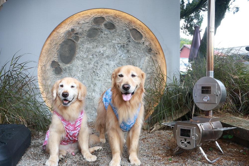 南投埔里｜桑心實驗室 emoLab。桑心合作社、山上山下集團、野奢露營風咖啡廳、寵物友善餐廳、南投桃米生態村