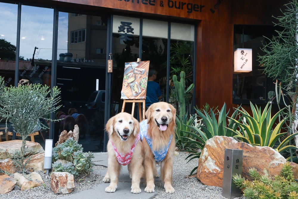 南投埔里｜桑心實驗室 emoLab。桑心合作社、山上山下集團、野奢露營風咖啡廳、寵物友善餐廳、南投桃米生態村
