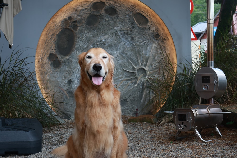 南投埔里｜桑心實驗室 emoLab。桑心合作社、山上山下集團、野奢露營風咖啡廳、寵物友善餐廳、南投桃米生態村