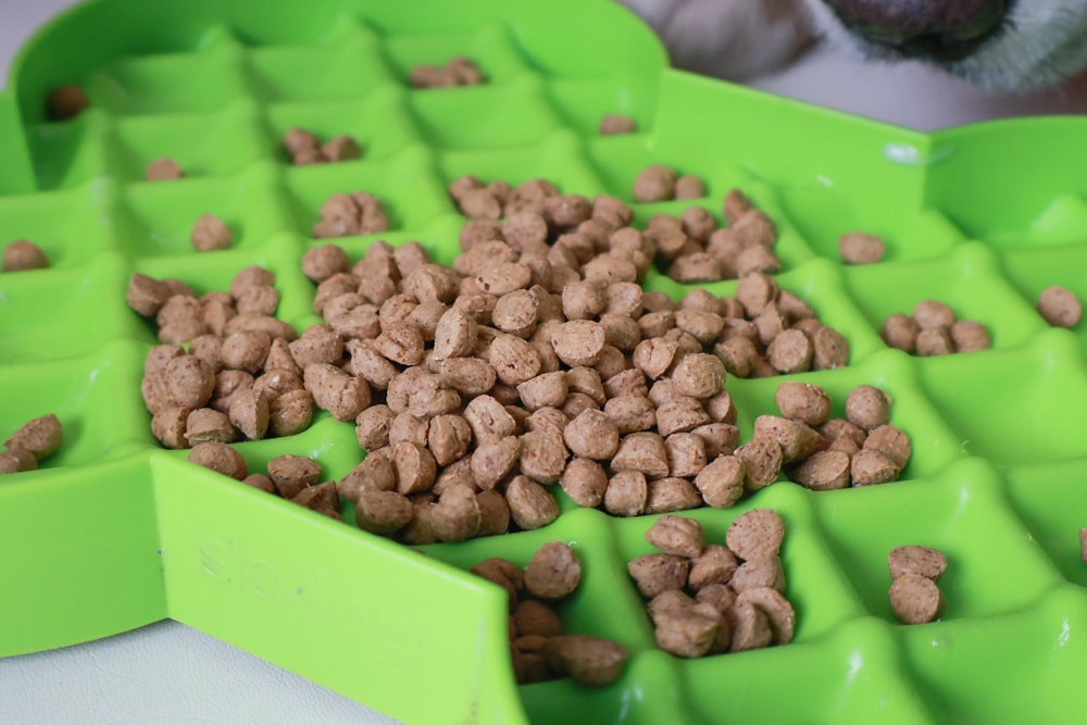 加拿大Carna4卡娜芙狗糧|顛覆想像的天然低溫烘培飼料、沒有你看不懂的成分、替代生食凍乾首選、狗飼料、犬糧 - 第15張圖 加拿大Carna4卡娜芙狗糧|顛覆想像的天然低溫烘培飼料、沒有你看不懂的成分、替代生食凍乾首選、狗飼料、犬糧