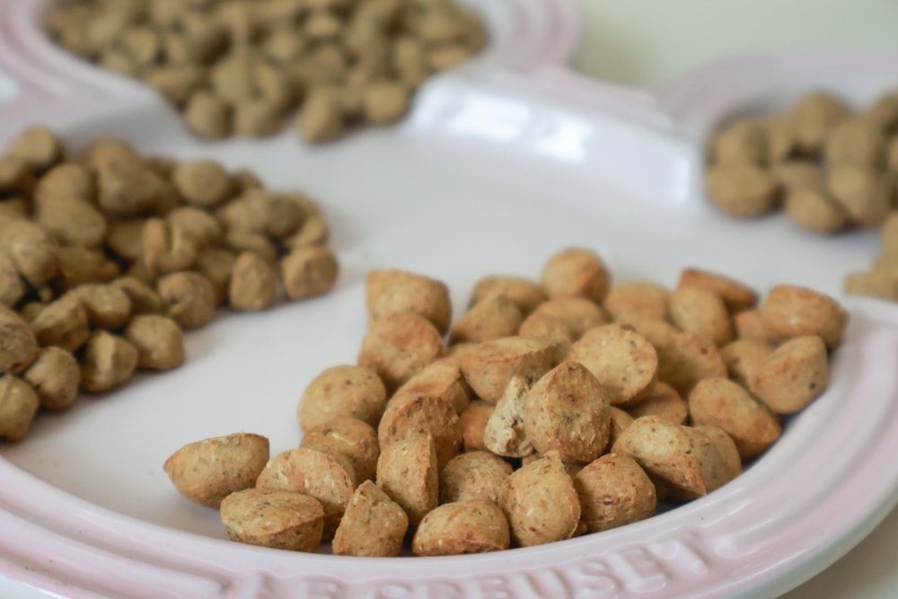加拿大Carna4卡娜芙狗糧|顛覆想像的天然低溫烘培飼料、沒有你看不懂的成分、替代生食凍乾首選、狗飼料、犬糧 - 第5張圖 加拿大Carna4卡娜芙狗糧|顛覆想像的天然低溫烘培飼料、沒有你看不懂的成分、替代生食凍乾首選、狗飼料、犬糧