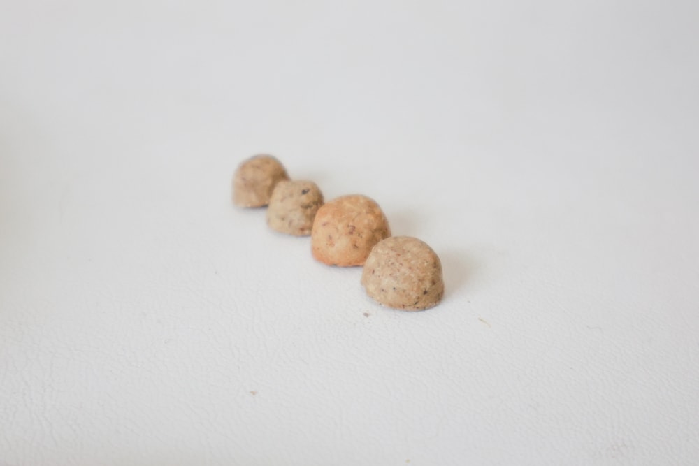 加拿大Carna4卡娜芙狗糧|顛覆想像的天然低溫烘培飼料、沒有你看不懂的成分、替代生食凍乾首選、狗飼料、犬糧 - 第17張圖 加拿大Carna4卡娜芙狗糧|顛覆想像的天然低溫烘培飼料、沒有你看不懂的成分、替代生食凍乾首選、狗飼料、犬糧