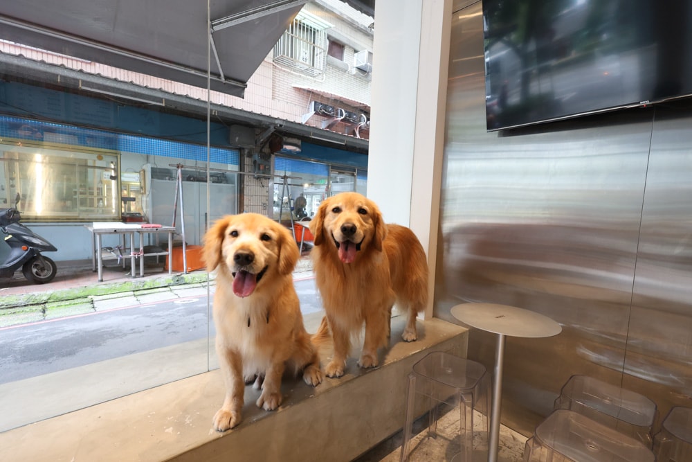 古亭美食｜Ice Gyaru 霜淇淋專門店、沖繩飯糰。日系原宿風、寵物友善餐廳、蔬食純素、燕麥奶