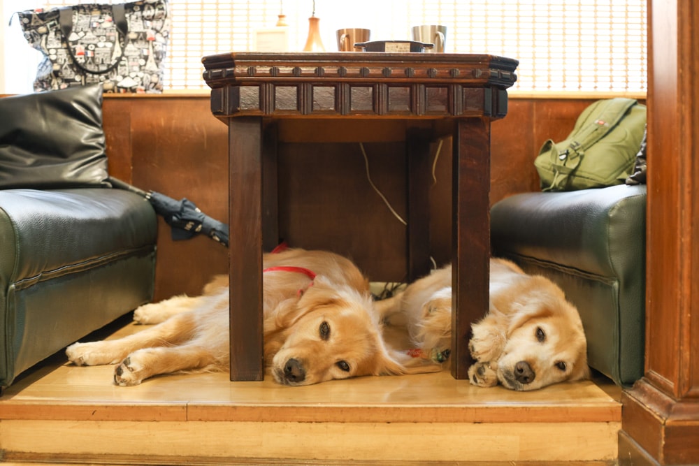 台北古亭|漫畫雜誌愛心空間 e書漫。寵物友善、24H、供餐飲、冷氣安靜包廂、飲料喝到飽 - 第19張圖 台北古亭|漫畫雜誌愛心空間 e書漫。寵物友善、24H、供餐飲、冷氣安靜包廂、飲料喝到飽