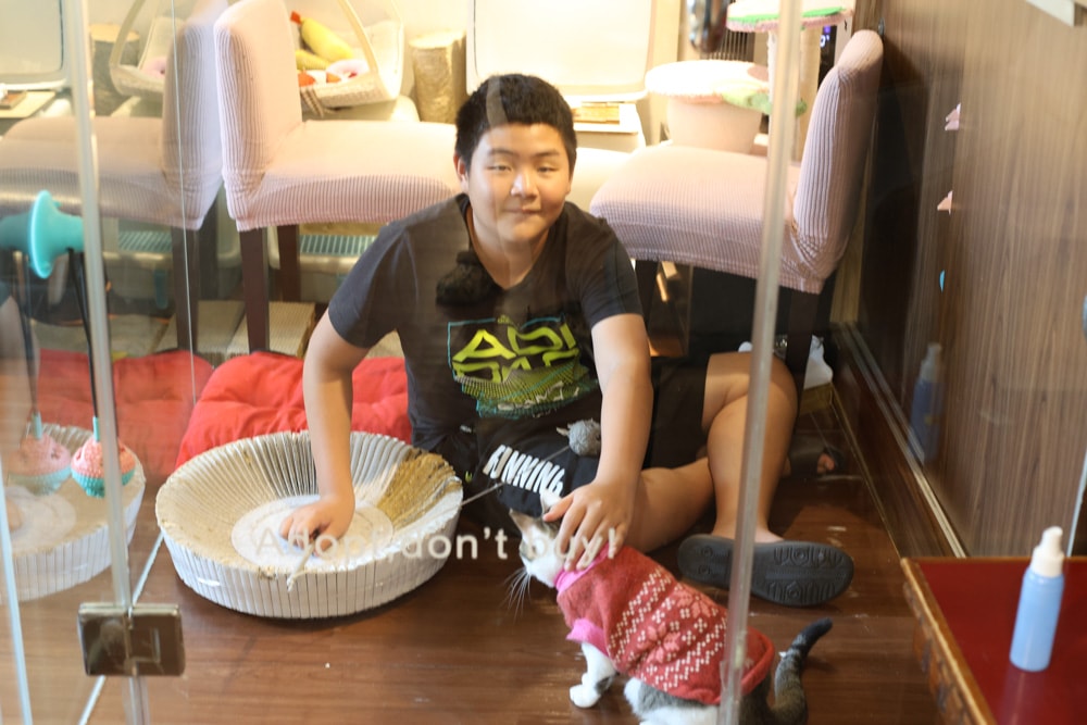 台北古亭|漫畫雜誌愛心空間 e書漫。寵物友善、24H、供餐飲、冷氣安靜包廂、飲料喝到飽 - 第20張圖 台北古亭|漫畫雜誌愛心空間 e書漫。寵物友善、24H、供餐飲、冷氣安靜包廂、飲料喝到飽