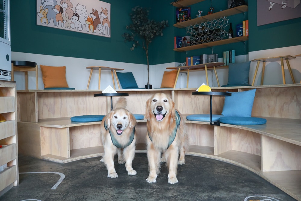 台北信義區美食｜生活域所A Living Labb。老屋複合式咖啡廳、澳式早午餐、寵物友善餐廳