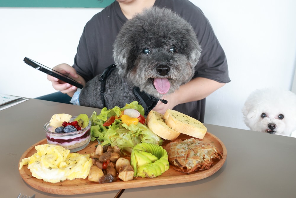 台北信義區美食｜生活域所A Living Labb。老屋複合式咖啡廳、澳式早午餐、寵物友善餐廳