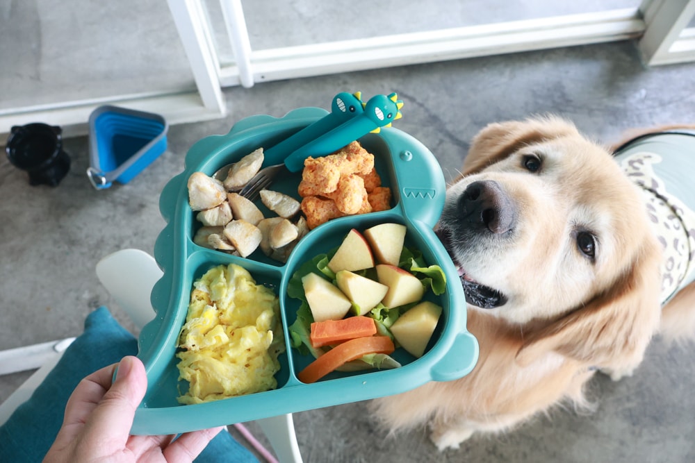 台北信義區美食｜生活域所A Living Labb。老屋複合式咖啡廳、澳式早午餐、寵物友善餐廳