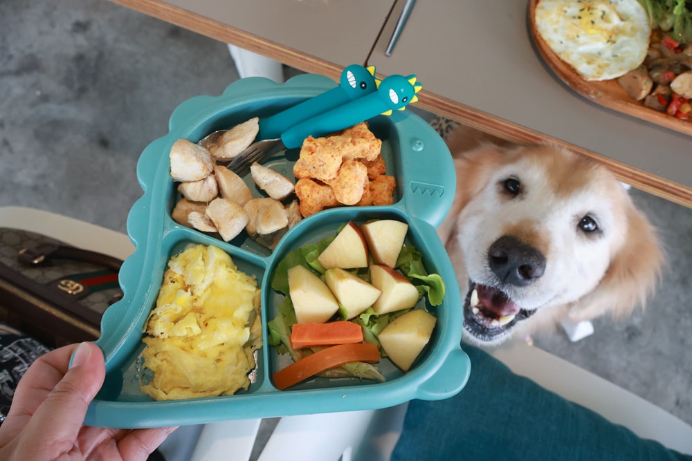 台北信義區美食｜生活域所A Living Labb。老屋複合式咖啡廳、澳式早午餐、寵物友善餐廳