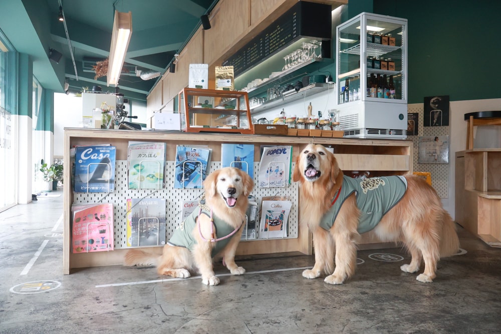 台北信義區美食｜生活域所A Living Labb。老屋複合式咖啡廳、澳式早午餐、寵物友善餐廳