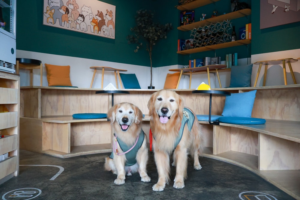 台北信義區美食｜生活域所A Living Labb。老屋複合式咖啡廳、澳式早午餐、寵物友善餐廳