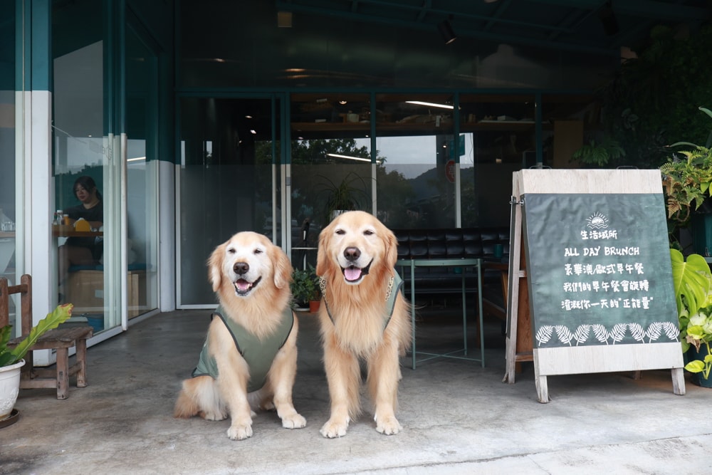 台北信義區美食｜生活域所A Living Labb。老屋複合式咖啡廳、澳式早午餐、寵物友善餐廳