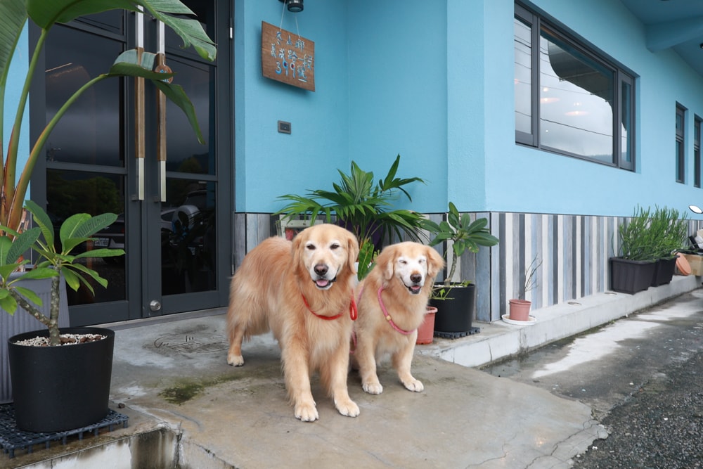 宜蘭冬山美食|和光找安。寵物友善餐廳、老宅創意西式料理、早午餐、精緻食材原始美味 - 第26張圖 宜蘭冬山美食|和光找安。寵物友善餐廳、老宅創意西式料理、早午餐、精緻食材原始美味