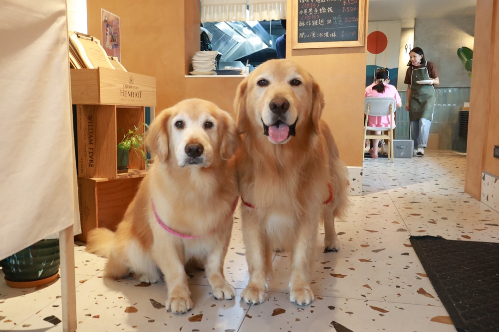 宜蘭冬山美食|和光找安。寵物友善餐廳、老宅創意西式料理、早午餐、精緻食材原始美味 - 第8張圖 宜蘭冬山美食|和光找安。寵物友善餐廳、老宅創意西式料理、早午餐、精緻食材原始美味