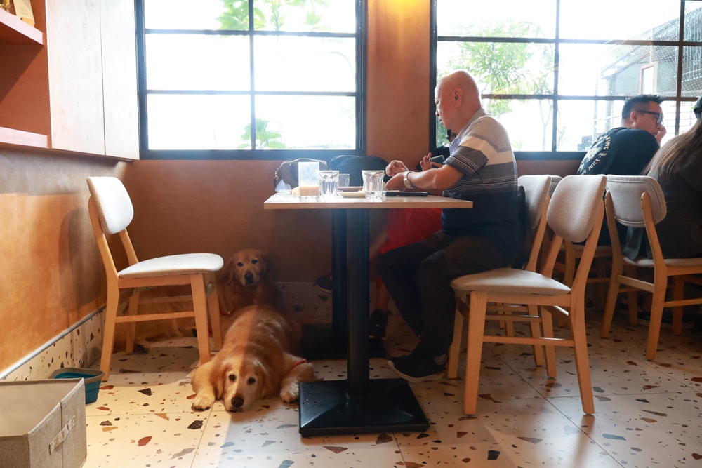 宜蘭冬山美食|和光找安。寵物友善餐廳、老宅創意西式料理、早午餐、精緻食材原始美味 - 第14張圖 宜蘭冬山美食|和光找安。寵物友善餐廳、老宅創意西式料理、早午餐、精緻食材原始美味