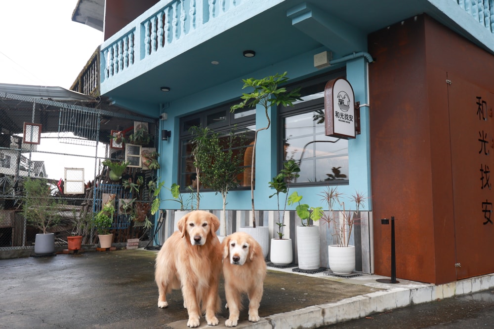 宜蘭冬山美食|和光找安。寵物友善餐廳、老宅創意西式料理、早午餐、精緻食材原始美味 - 第3張圖 宜蘭冬山美食|和光找安。寵物友善餐廳、老宅創意西式料理、早午餐、精緻食材原始美味