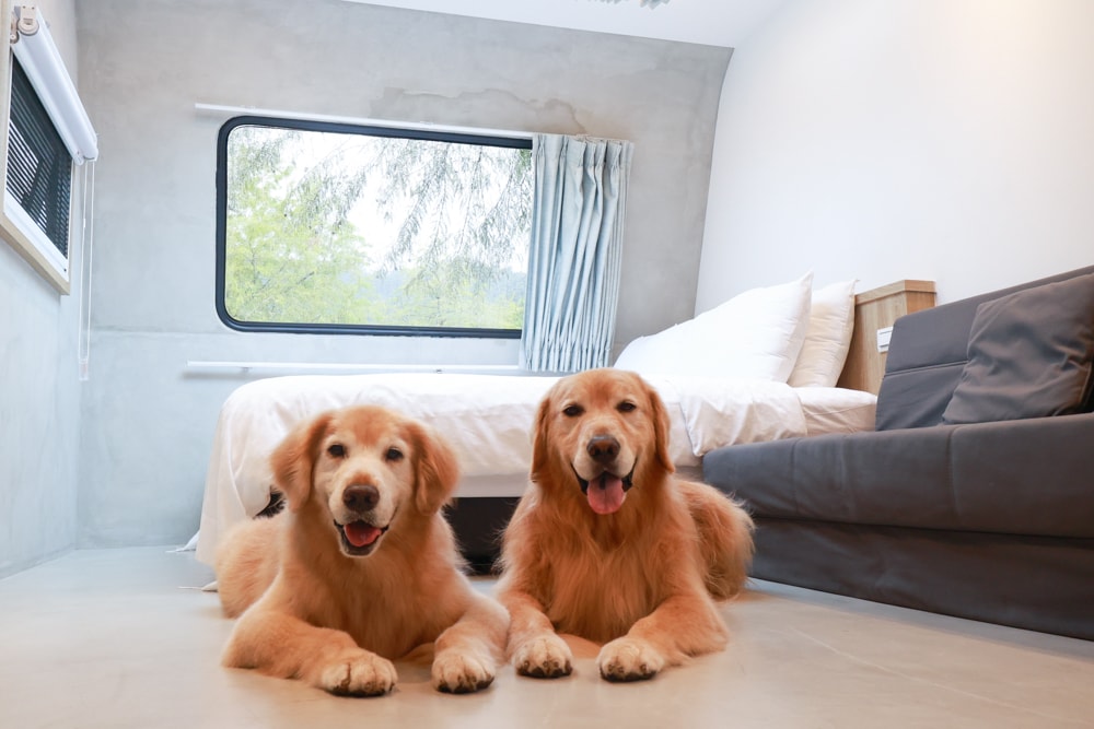 宜蘭冬山天ㄟ露營車|寵物友善露營車、宜蘭梅花湖景第一排、一泊三食、2023全新裝潢 - 第9張圖 宜蘭冬山天ㄟ露營車|寵物友善露營車、宜蘭梅花湖景第一排、一泊三食、2023全新裝潢
