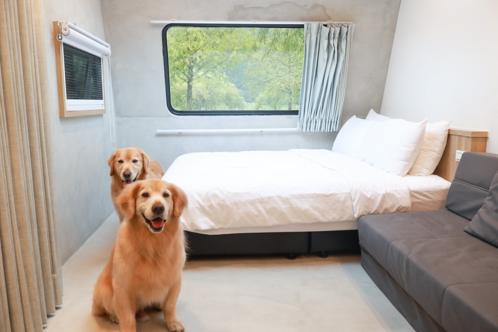 宜蘭冬山天ㄟ露營車|寵物友善露營車、宜蘭梅花湖景第一排、一泊三食、2023全新裝潢 - 第10張圖 宜蘭冬山天ㄟ露營車|寵物友善露營車、宜蘭梅花湖景第一排、一泊三食、2023全新裝潢