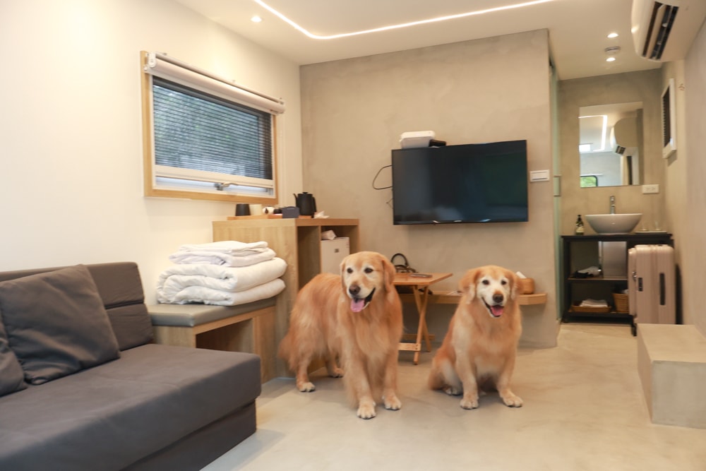 宜蘭冬山天ㄟ露營車|寵物友善露營車、宜蘭梅花湖景第一排、一泊三食、2023全新裝潢 - 第11張圖 宜蘭冬山天ㄟ露營車|寵物友善露營車、宜蘭梅花湖景第一排、一泊三食、2023全新裝潢