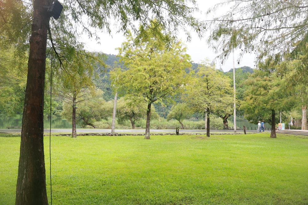 宜蘭冬山天ㄟ露營車|寵物友善露營車、宜蘭梅花湖景第一排、一泊三食、2023全新裝潢 - 第15張圖 宜蘭冬山天ㄟ露營車|寵物友善露營車、宜蘭梅花湖景第一排、一泊三食、2023全新裝潢
