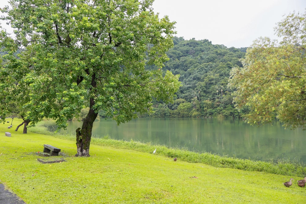 宜蘭冬山天ㄟ露營車|寵物友善露營車、宜蘭梅花湖景第一排、一泊三食、2023全新裝潢 - 第25張圖 宜蘭冬山天ㄟ露營車|寵物友善露營車、宜蘭梅花湖景第一排、一泊三食、2023全新裝潢