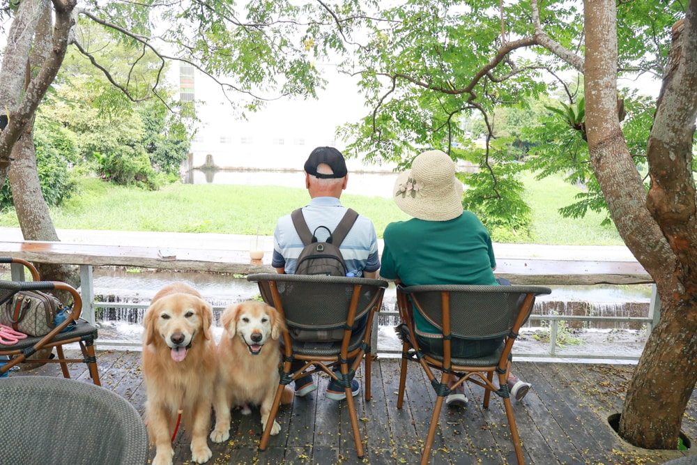 宜蘭員山｜北后寺・聽水咖啡。寵物友善餐廳、河圳潺潺流水第一排、溪畔禪意景觀咖啡廳