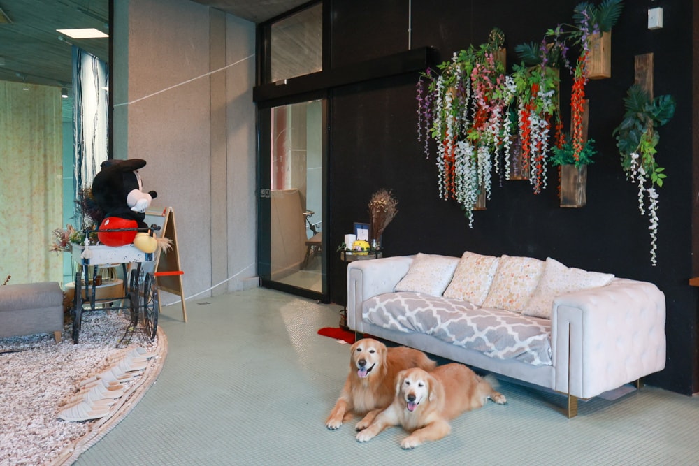 宜蘭壯圍美食｜芒草café 。芒草咖啡、寵物友善餐廳、網美咖啡廳、壯圍沙丘旅遊服務園區