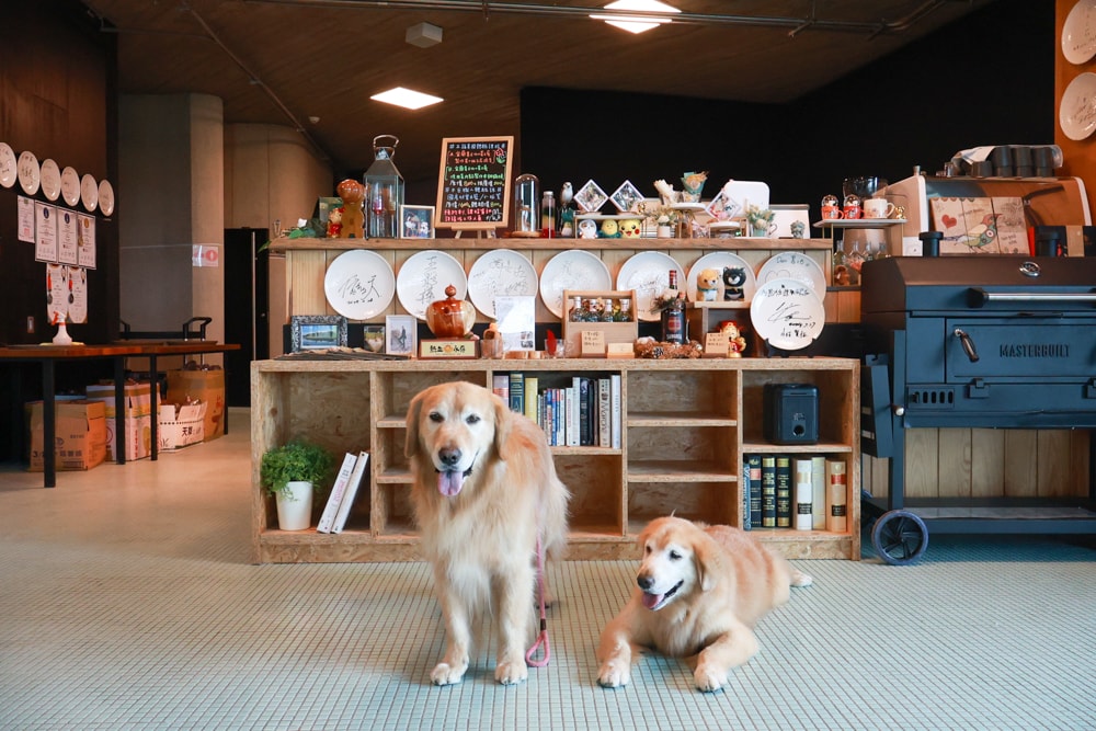 宜蘭壯圍美食｜芒草café 。芒草咖啡、寵物友善餐廳、網美咖啡廳、壯圍沙丘旅遊服務園區