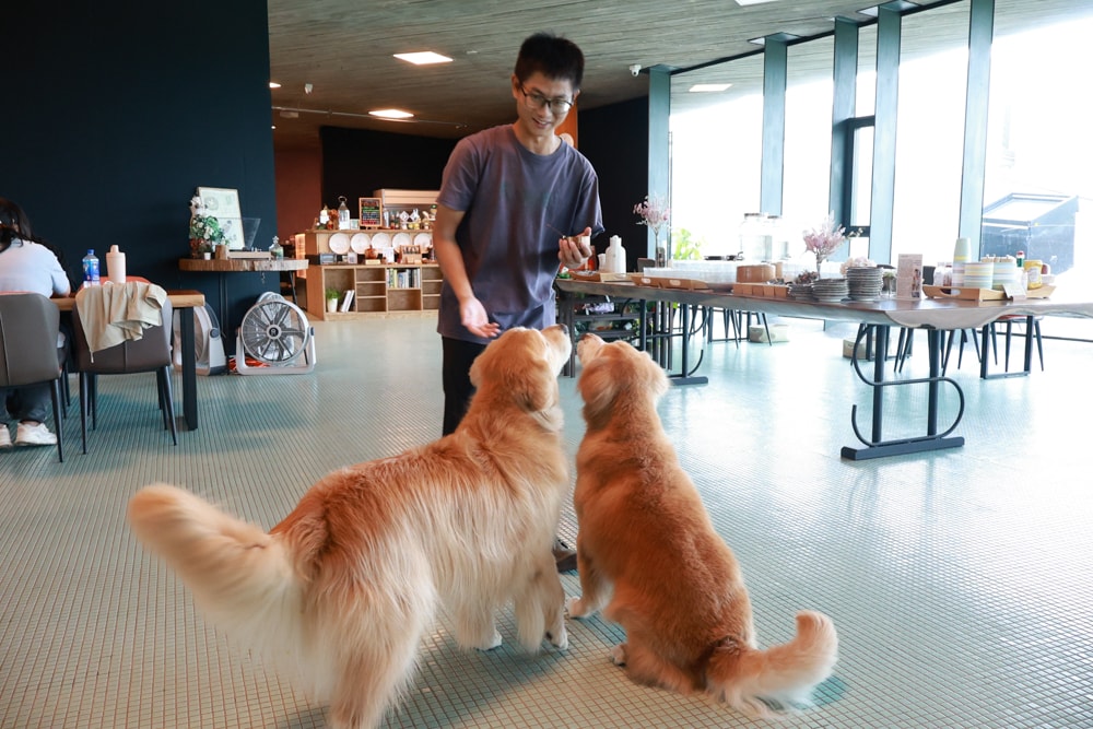 宜蘭壯圍美食｜芒草café 。芒草咖啡、寵物友善餐廳、網美咖啡廳、壯圍沙丘旅遊服務園區