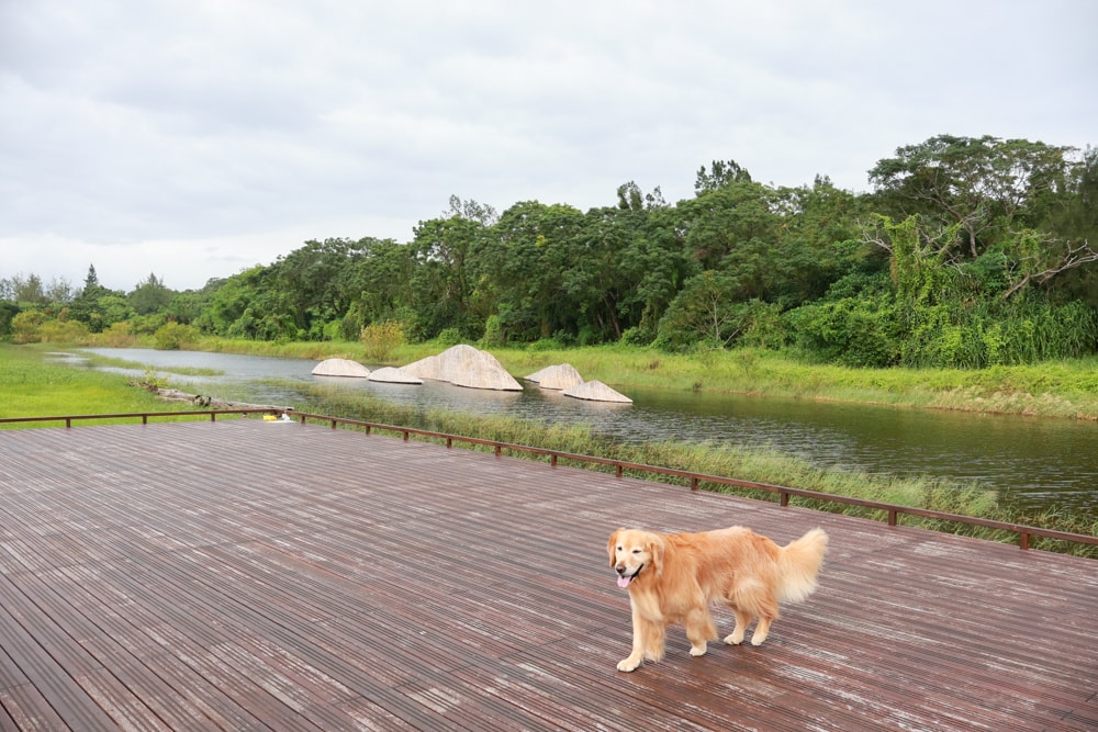 宜蘭壯圍美食｜芒草café 。芒草咖啡、寵物友善餐廳、網美咖啡廳、壯圍沙丘旅遊服務園區
