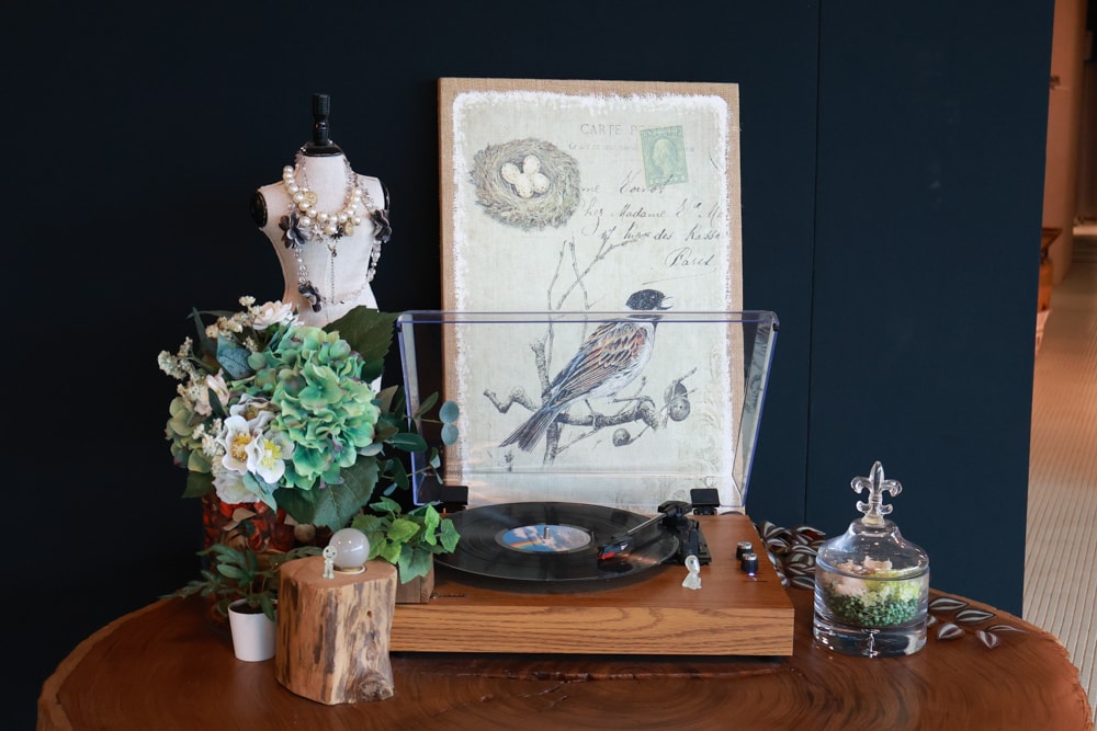 宜蘭壯圍美食｜芒草café 。芒草咖啡、寵物友善餐廳、網美咖啡廳、壯圍沙丘旅遊服務園區