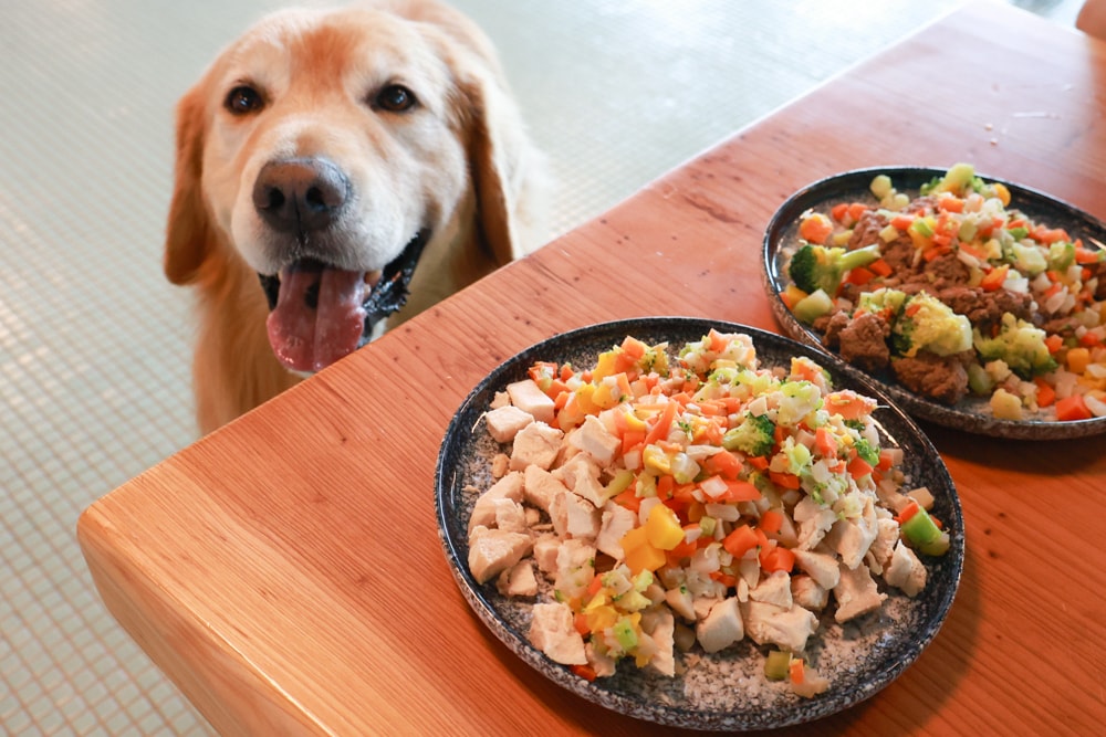 宜蘭壯圍美食｜芒草café 。芒草咖啡、寵物友善餐廳、網美咖啡廳、壯圍沙丘旅遊服務園區