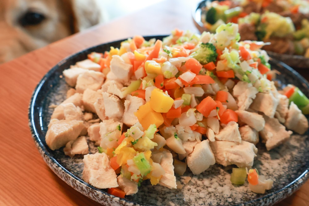 宜蘭壯圍美食｜芒草café 。芒草咖啡、寵物友善餐廳、網美咖啡廳、壯圍沙丘旅遊服務園區