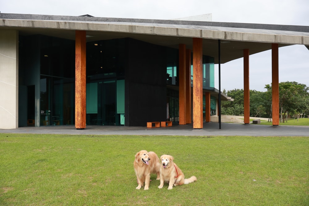 宜蘭壯圍美食｜芒草café 。芒草咖啡、寵物友善餐廳、網美咖啡廳、壯圍沙丘旅遊服務園區