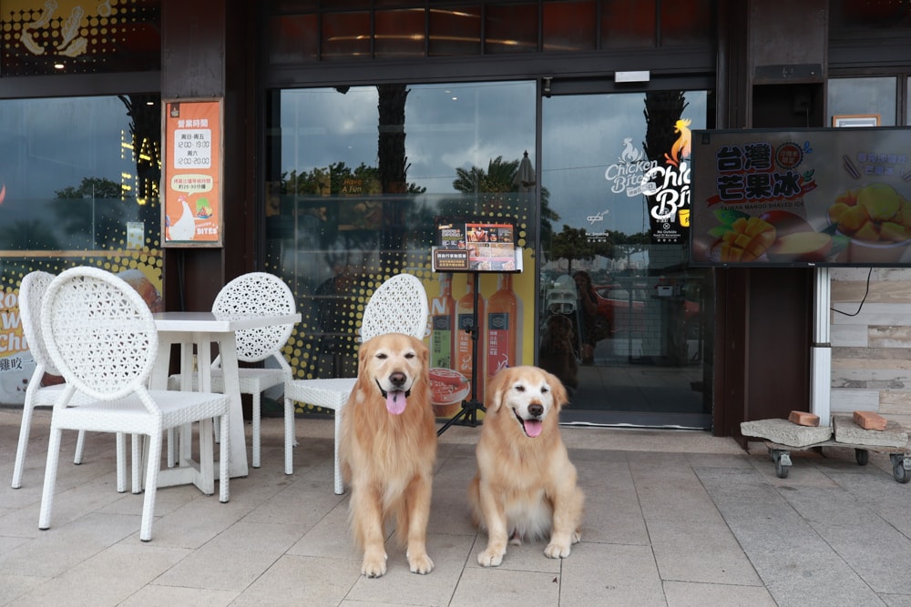 烤雞咬一口Chicken Bites|新北八里美食、寵物友善餐廳、全台最強立正烤雞、獨門辛香料醃製 - 第20張圖 烤雞咬一口Chicken Bites|新北八里美食、寵物友善餐廳、全台最強立正烤雞、獨門辛香料醃製