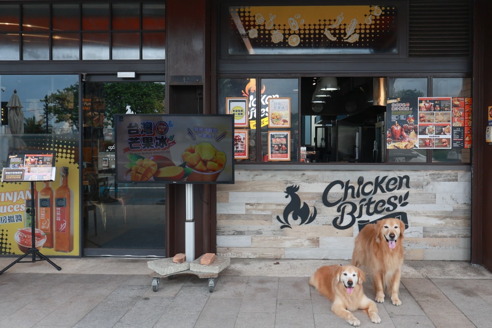 烤雞咬一口Chicken Bites|新北八里美食、寵物友善餐廳、全台最強立正烤雞、獨門辛香料醃製 - 第3張圖 烤雞咬一口Chicken Bites|新北八里美食、寵物友善餐廳、全台最強立正烤雞、獨門辛香料醃製