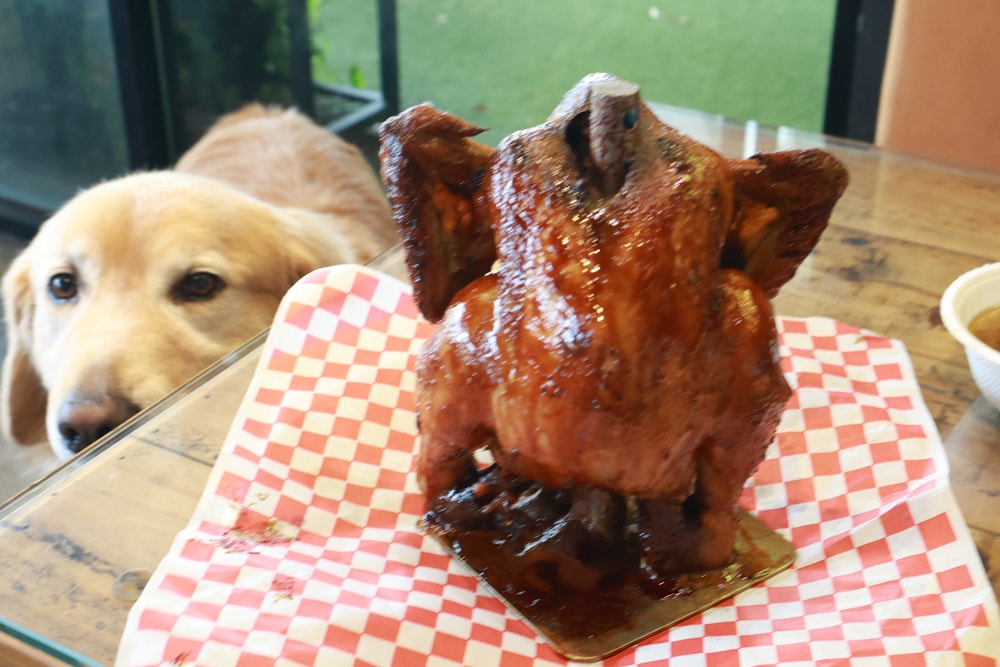 烤雞咬一口Chicken Bites|新北八里美食、寵物友善餐廳、全台最強立正烤雞、獨門辛香料醃製 - 第11張圖 烤雞咬一口Chicken Bites|新北八里美食、寵物友善餐廳、全台最強立正烤雞、獨門辛香料醃製
