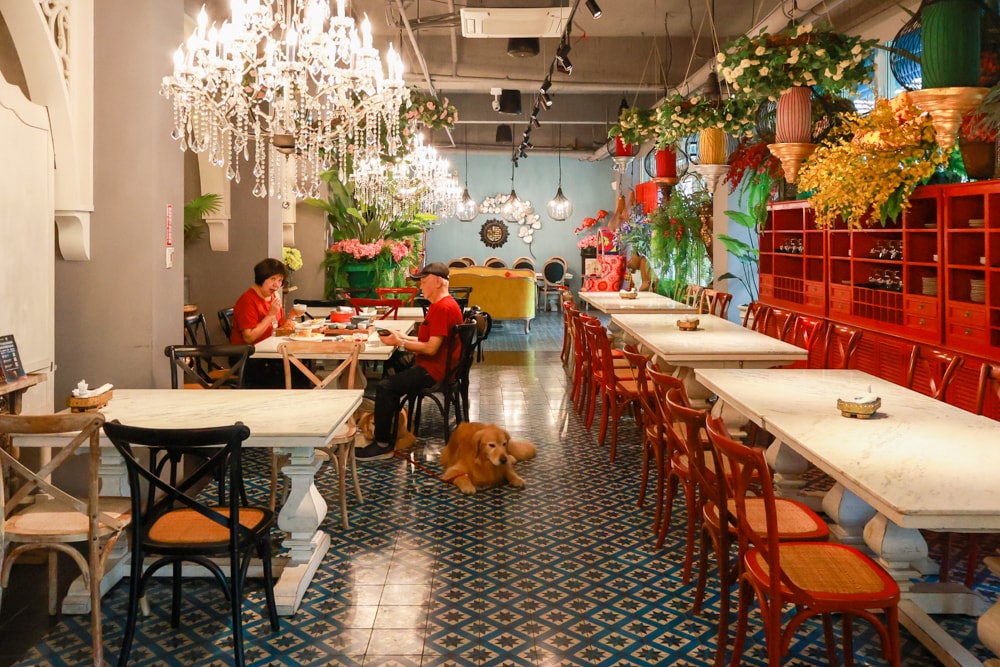 嘉義。Thai woo泰悟餐酒館|寵物友善餐廳、泰式森林系餐廳、來自泰國清邁的美味泰式料理、火山排骨 - 第4張圖 嘉義。Thai woo泰悟餐酒館|寵物友善餐廳、泰式森林系餐廳、來自泰國清邁的美味泰式料理、火山排骨