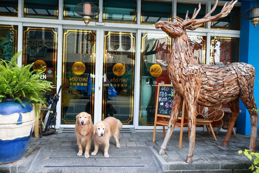 嘉義。Thai woo泰悟餐酒館|寵物友善餐廳、泰式森林系餐廳、來自泰國清邁的美味泰式料理、火山排骨 - 第1張圖 嘉義。Thai woo泰悟餐酒館|寵物友善餐廳、泰式森林系餐廳、來自泰國清邁的美味泰式料理、火山排骨