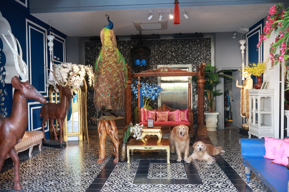 嘉義。安娜與國王酒店Anna King Hotel|全台唯一泰式風格酒店、寵物友善飯店、嘉義東門圓環、東門市場附近 - 第1張圖 嘉義。安娜與國王酒店Anna King Hotel|全台唯一泰式風格酒店、寵物友善飯店、嘉義東門圓環、東門市場附近