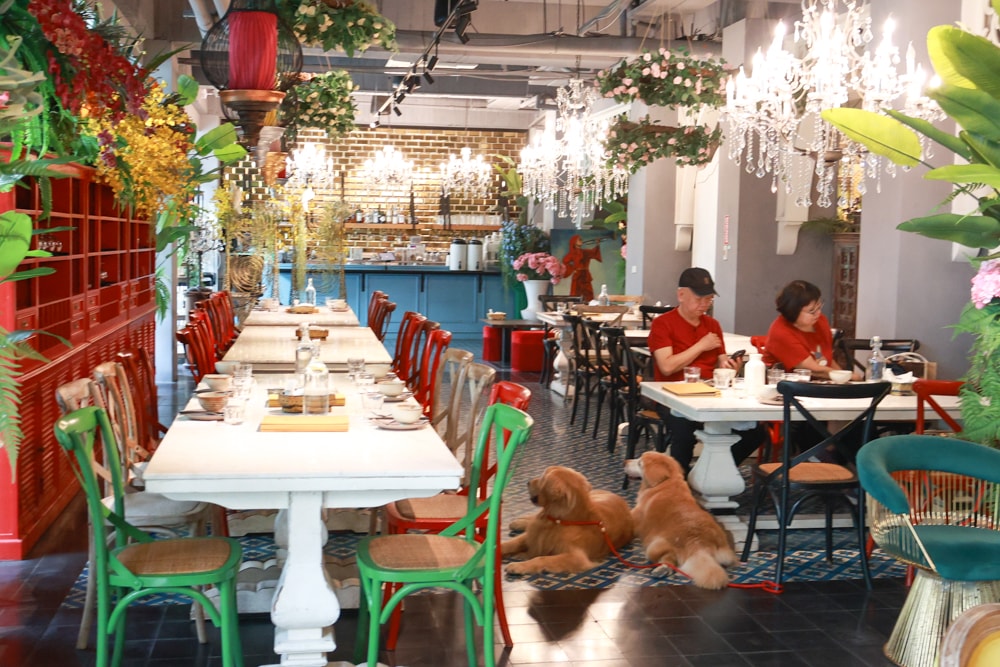 嘉義。Thai woo泰悟餐酒館|寵物友善餐廳、泰式森林系餐廳、來自泰國清邁的美味泰式料理、火山排骨 - 第14張圖 嘉義。Thai woo泰悟餐酒館|寵物友善餐廳、泰式森林系餐廳、來自泰國清邁的美味泰式料理、火山排骨